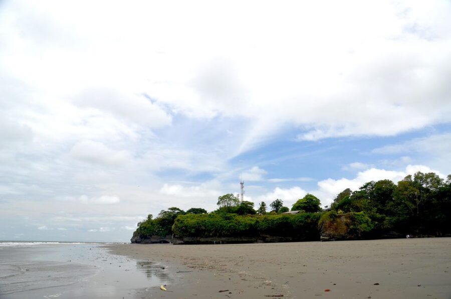 From Cali: Whale Watching Day Trip in Buenaventura - Whale watching under National Park rules