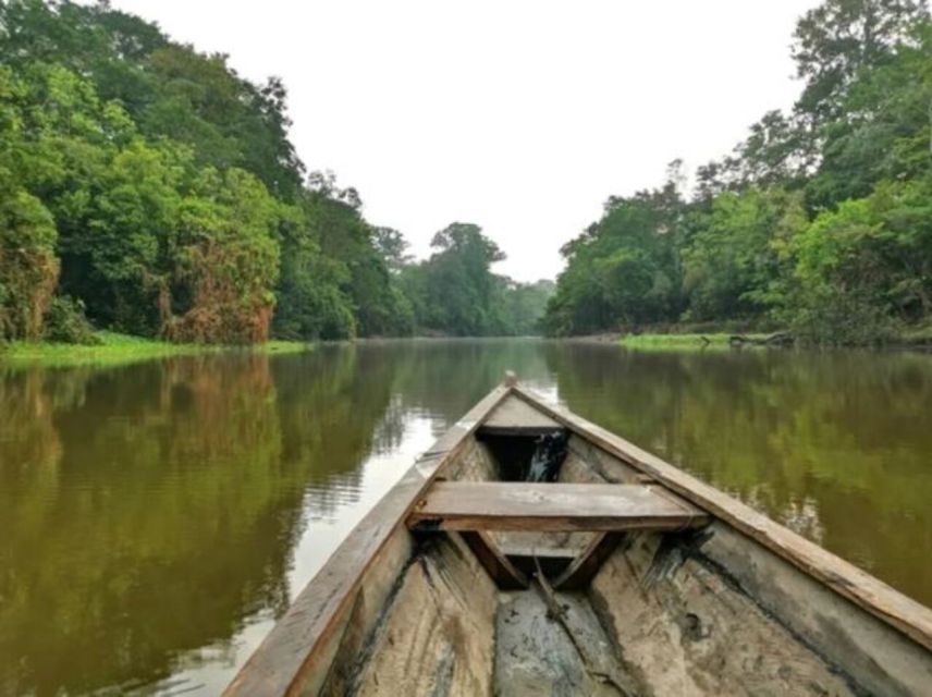 From Leticia: Wild Amazonas Adventure 4-Day Tour - Day four, conservation at Natutama and the return to Leticia