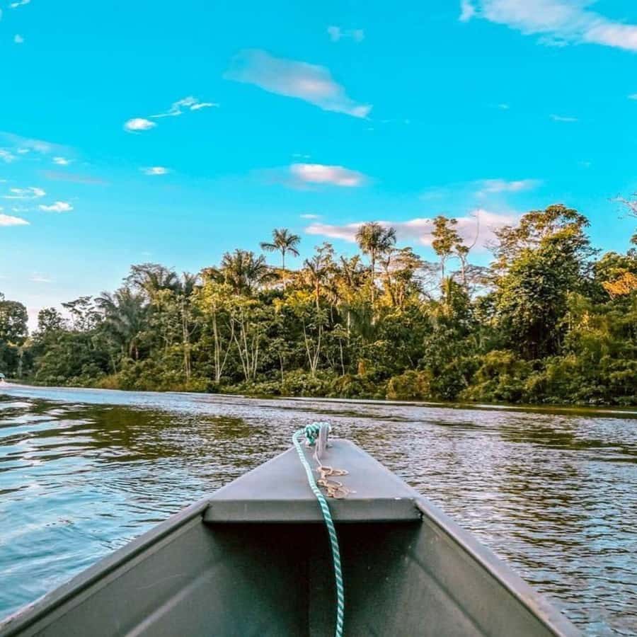 From Leticia: Wild Amazonas Adventure 4-Day Tour - Final verdict: should you book it?