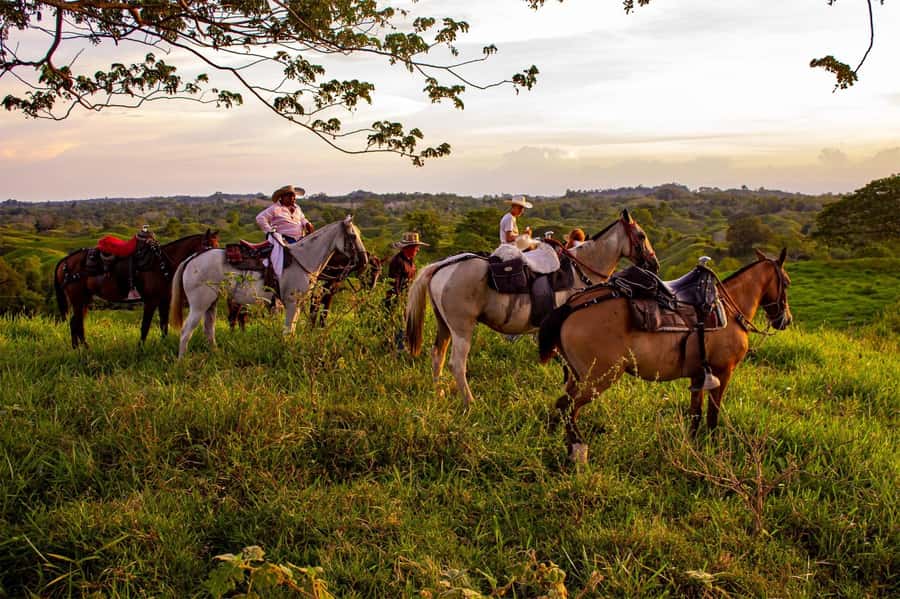 From Medellin; (All-In) The Real Horseback Ranch Experience - Five things to know before you book