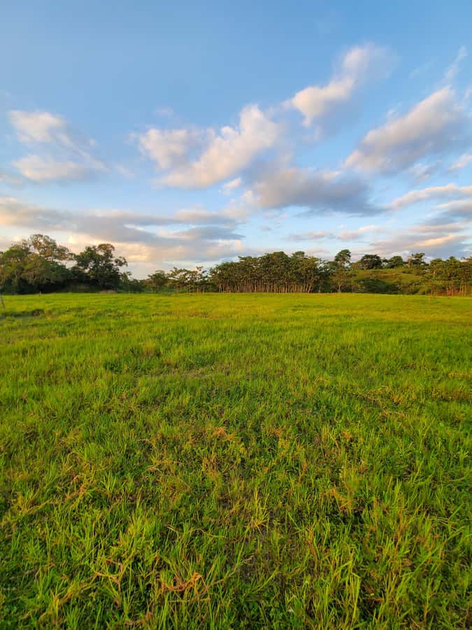 From Medellin; (All-In) The Real Horseback Ranch Experience - Wildlife and the private reserve