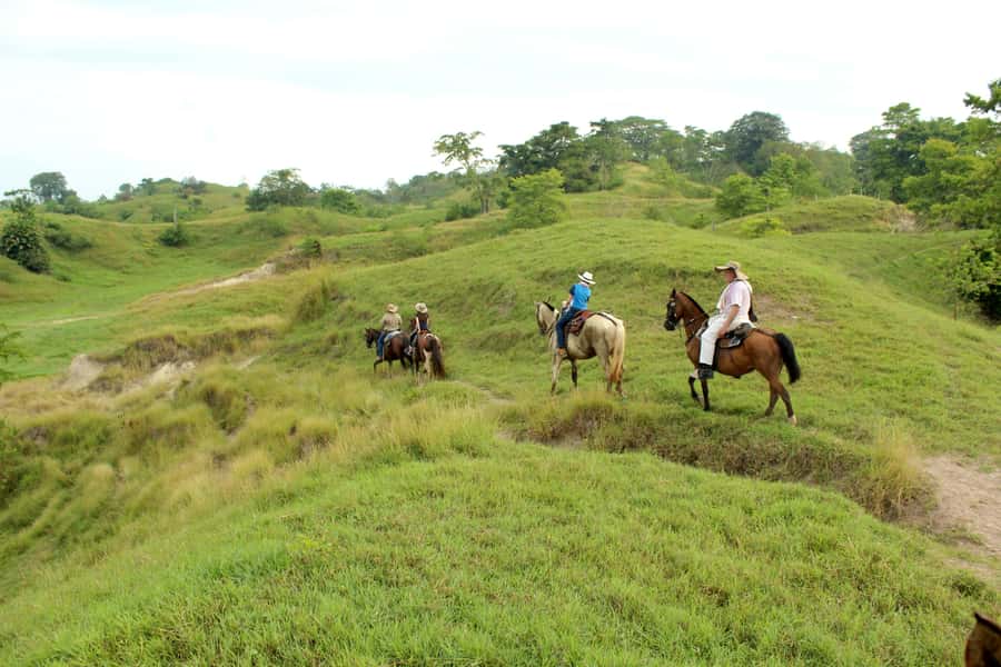 From Medellin; (All-In) The Real Horseback Ranch Experience - Lunch in the middle of the fields