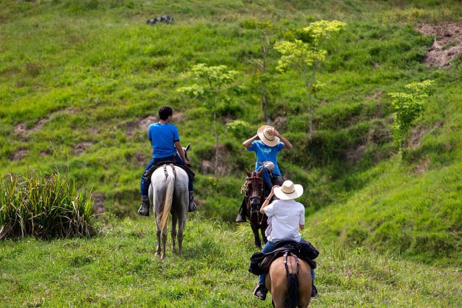 From Medellin; (All-In) The Real Horseback Ranch Experience - Hammocks, snacks, and a possible swim