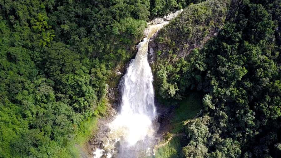 From Medellin: Epic Zipline and Giant Waterfall - Key points at a glance