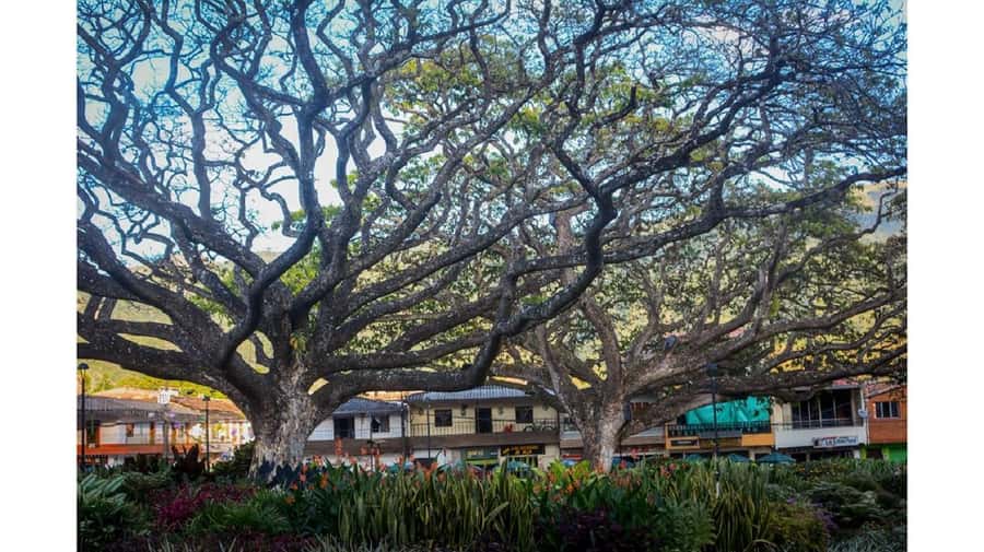 From Medellín: Jardín, Andes, and Hispania Day Trip - Why this day trip reaches beyond Medellín