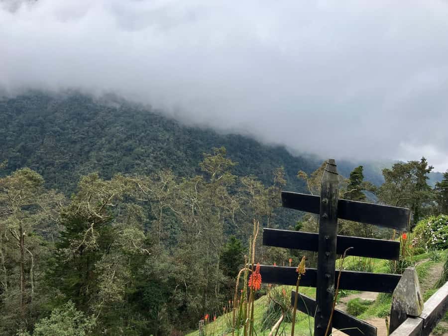 From Medellín: Jardín Private 2-Day Tour with Activities - Cueva del Esplendor and the morning hike