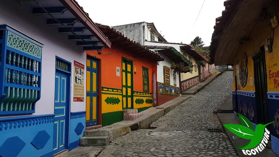 From Medellín: Paragliding Flight and Guatape Tour - Guides who make the day work