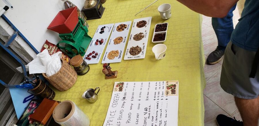 From Medellin: Private Envigado Coffee Tour with Tastings - Why the private format matters at $98