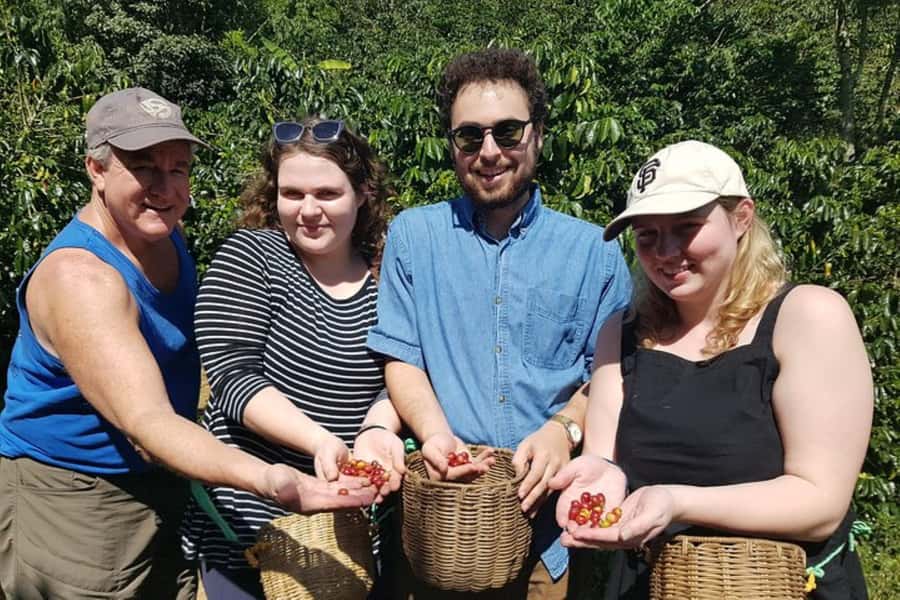 From Medellin: Private Envigado Coffee Tour with Tastings - What the four-hour schedule means for your day