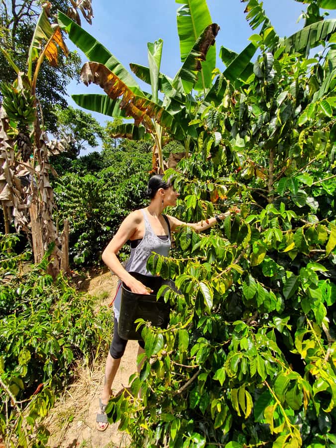 From Medellin: Private Envigado Coffee Tour with Tastings - Who will get the most from this experience