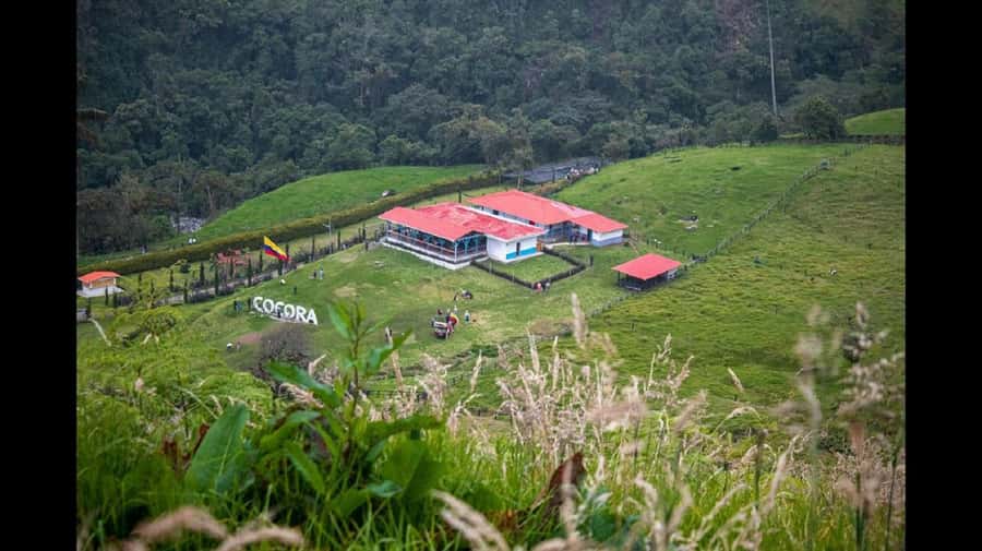 From Salento: Cocora Valley Hiking Tour with Lunch - Key points at a glance