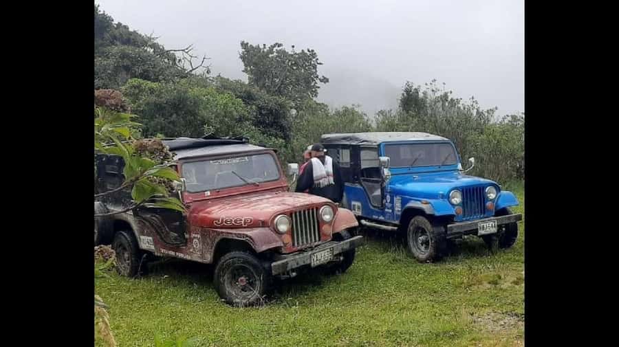 From Salento: Cocora Valley Hiking Tour with Lunch - The opening talk about Colombia’s wax palm