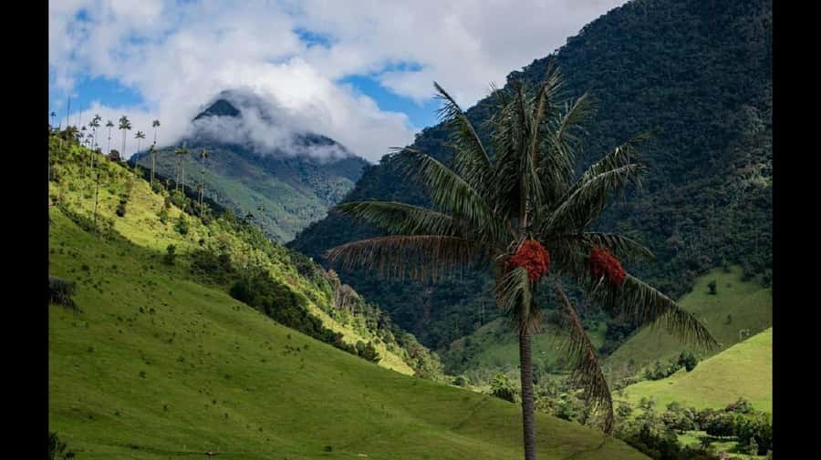 From Salento: Cocora Valley Hiking Tour with Lunch - Returning to Salento after a full day outside