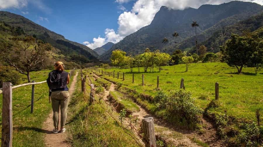From Salento: Cocora Valley Hiking Tour with Lunch - Meeting at Salento’s church and riding a Willys Jeep