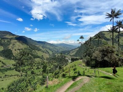 From Salento: Cocora Valley Shared Tour