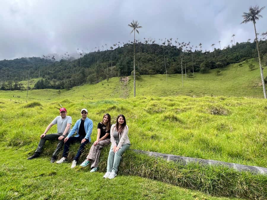 From Salento: Cocora Valley Shared Tour - Three hours among the giant palms