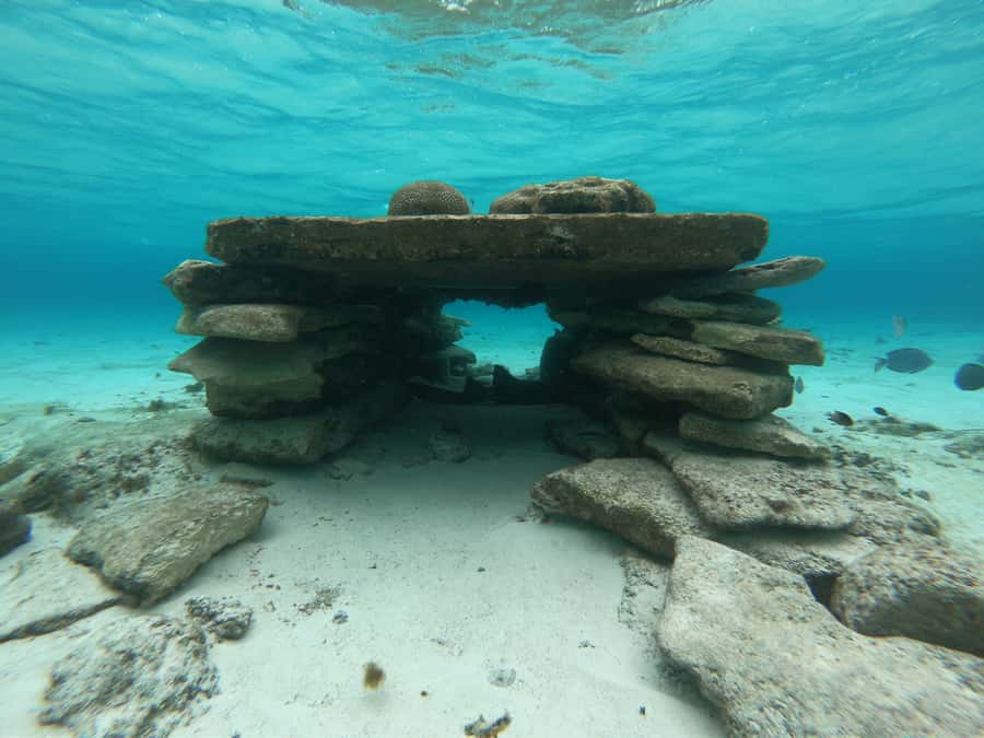 From San Andres: Cayo Acuario Tour - Three and a half hours in clear water