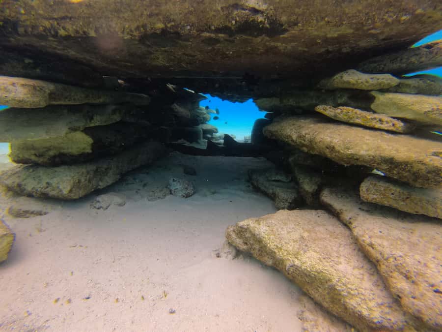 From San Andres: Cayo Acuario Tour - Marine life, clear water, and the crowd question