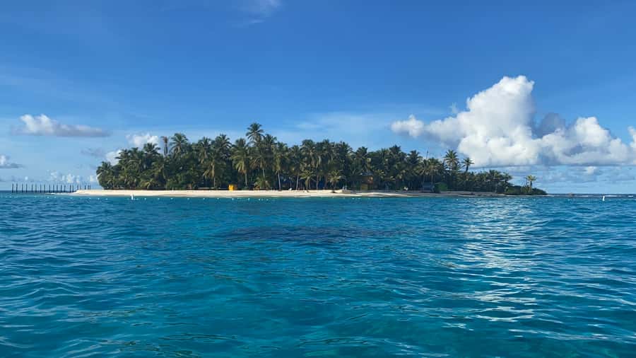 From San Andrés: Speedboat Tour to Johnny Cay Island - Key points before you book