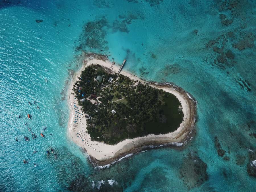 From San Andrés: Speedboat Tour to Johnny Cay Island - Johnny Cay gives you a full beach day in miniature