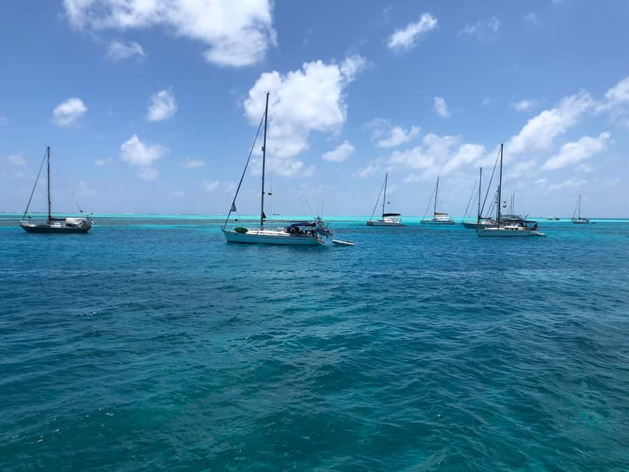 From San Andrés: Speedboat Tour to Johnny Cay Island - Swimming, snorkeling, and marine life