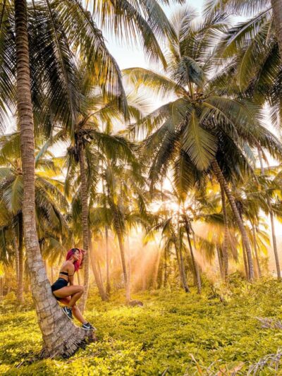 From Santa Marta: Tayrona National Park Guided Tour