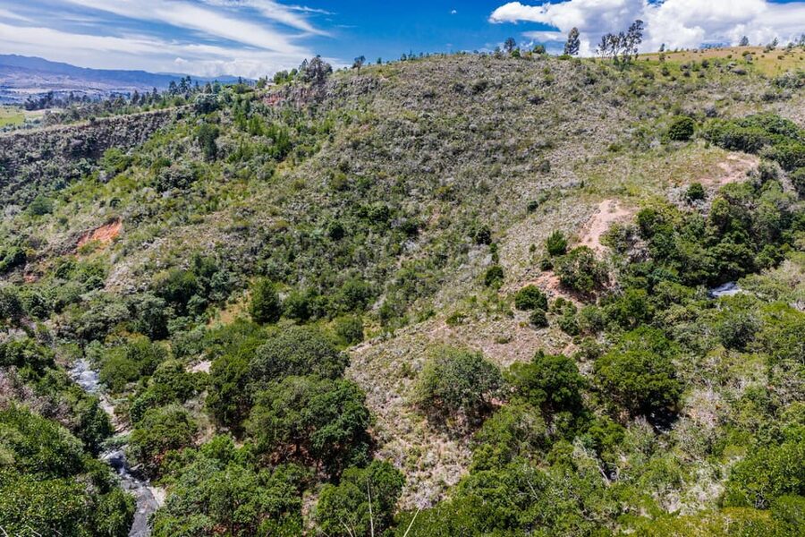 From Villa de Leyva: La Periquera Hiking Tour - What to bring and how to prepare