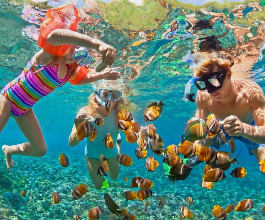 Full Day Barú island: Mangrove +Snorkel + Sunset + Plankton - Freedom Beach Club gives you a useful base