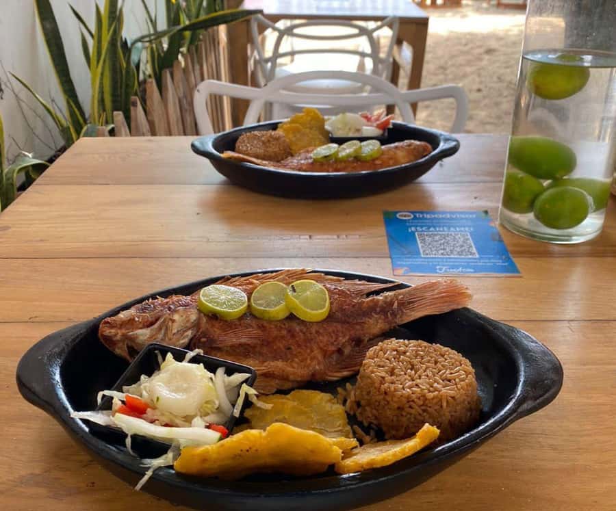 Full Day Barú island: Mangrove +Snorkel + Sunset + Plankton - Lunch brings local flavor, with basic execution