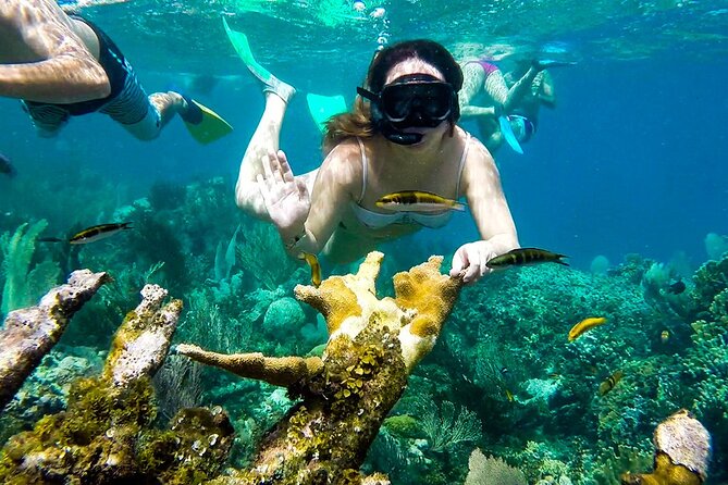 Full Day by the islands of the Rosary Cartagena - A 45-minute snorkeling stop at Isla Grande
