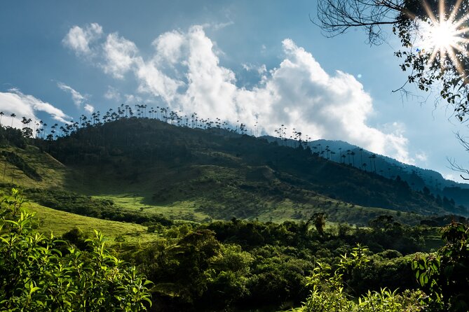 Full Day Climbing The Cocora Valley with Lunch - Why Cocora Valley makes a strong day from Salento