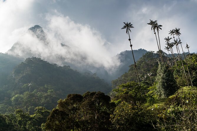 Full Day Climbing The Cocora Valley with Lunch - Seven hours, an early start, and the late lunch issue