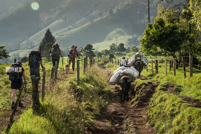 Full Day Climbing The Cocora Valley with Lunch - Who will get the most from this hike