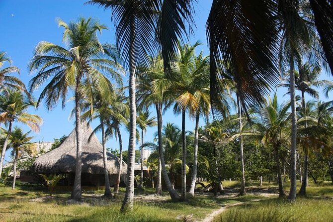Full day Isla del Encanto - Rosario Islands - Key points to know before booking