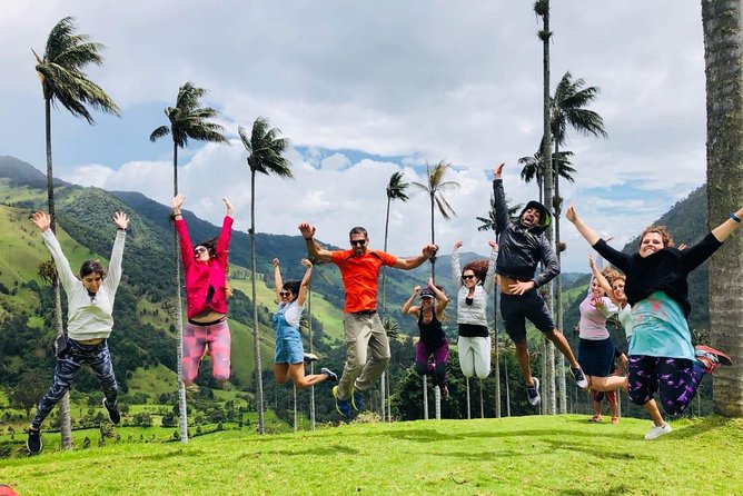 Full-Day Private Coffee Tour in Cocora Valley and Salento - Key points worth knowing before you book