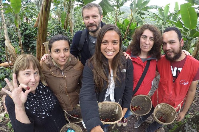 Full-Day Private Coffee Tour in Cocora Valley and Salento - Why Cocora Valley makes this a memorable day
