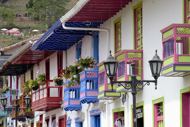 Full-Day Private Coffee Tour in Cocora Valley and Salento - The 1-hour-40-minute heritage transport segment