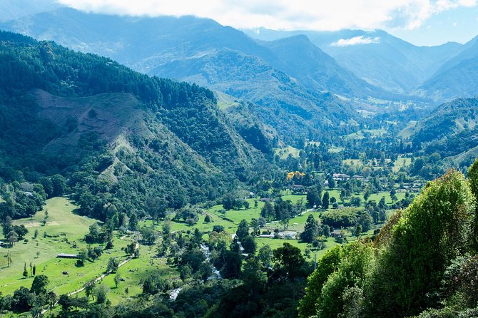 Full-Day Private Coffee Tour in Cocora Valley and Salento - The family coffee farm, from green bean to roasted cup