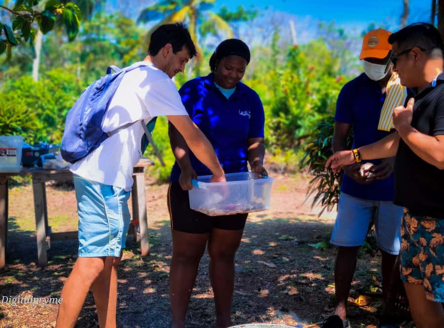 Gastronomic and musical experiences in San Andres Rondontour - Key points to know before booking