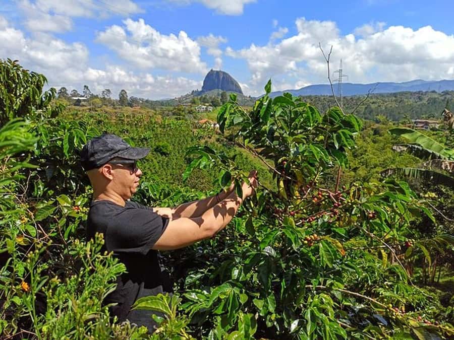 Guatapé & Coffee Farm, all in one day - Key points to know before booking