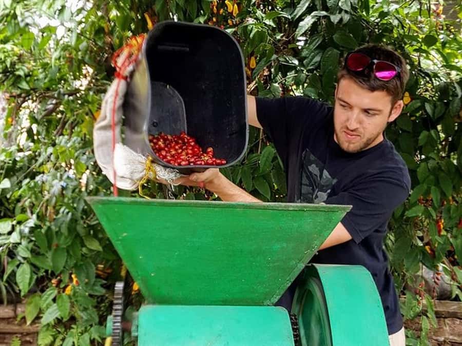 Guatapé & Coffee Farm, all in one day - Transport, duration, and what the long day feels like