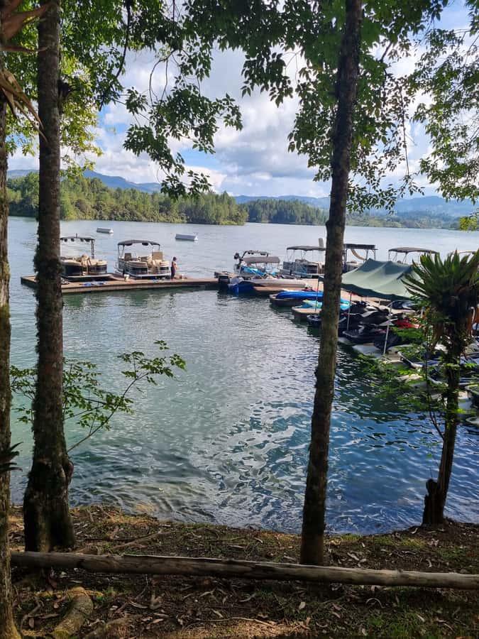 Guatapé: Day trip with Transport, Food & Boat - Breakfast and a typical Colombian lunch