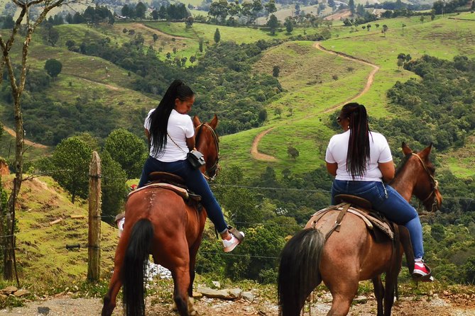Guatape & Horse Ride & El Peñol Rock & Quaint Town From Medellin - Choosing between a calm path and a wilder trail