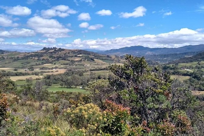 Guatavita Lake & Salt Cathedral Tour. - Private transport is the main practical advantage
