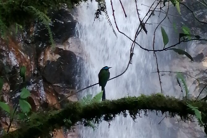 Half Day Waterfall Tour from Medellin - What the $49.99 price really covers