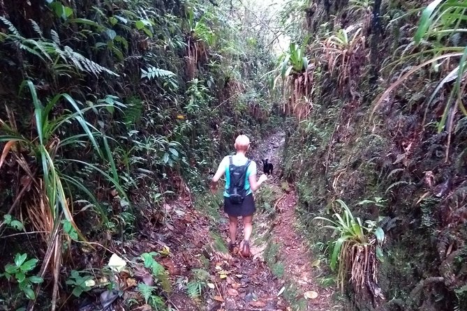 Hiking Mountains and Magical Forests - Key points at a glance