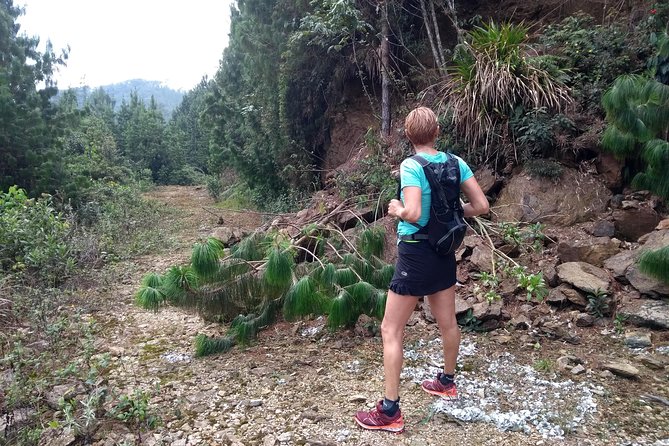 Hiking Mountains and Magical Forests - From Medellín to Envigado’s El Salado forests