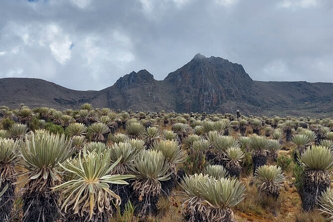 Hiking to the largest paramo on earth : Sumapaz - The early start and the road out
