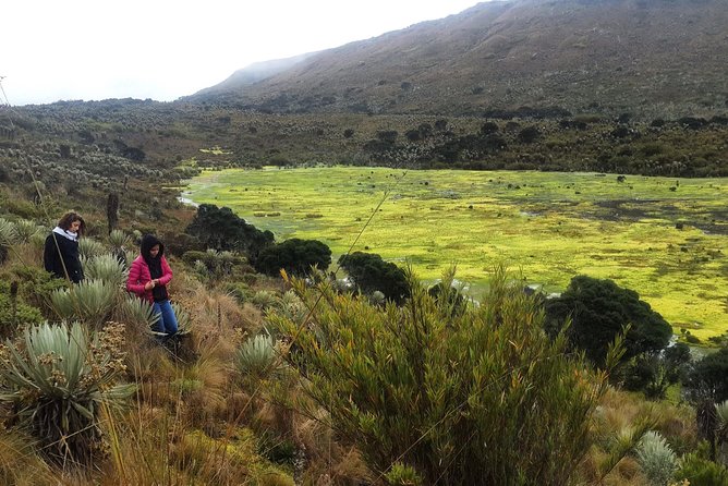 Hiking to the largest paramo on earth : Sumapaz - Breakfast before the uphill work