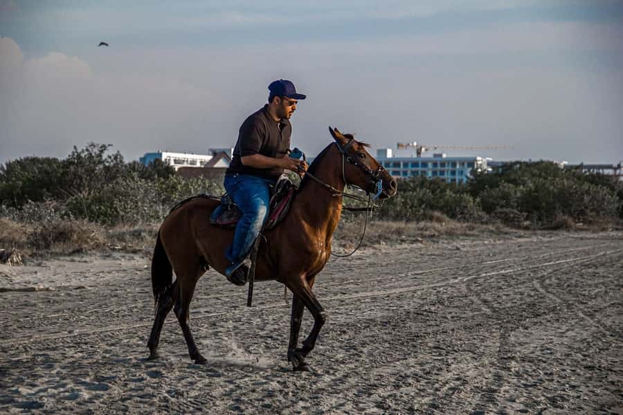 HORSE TOUR IN CARTAGENA BEACH - How much value does $43 offer?